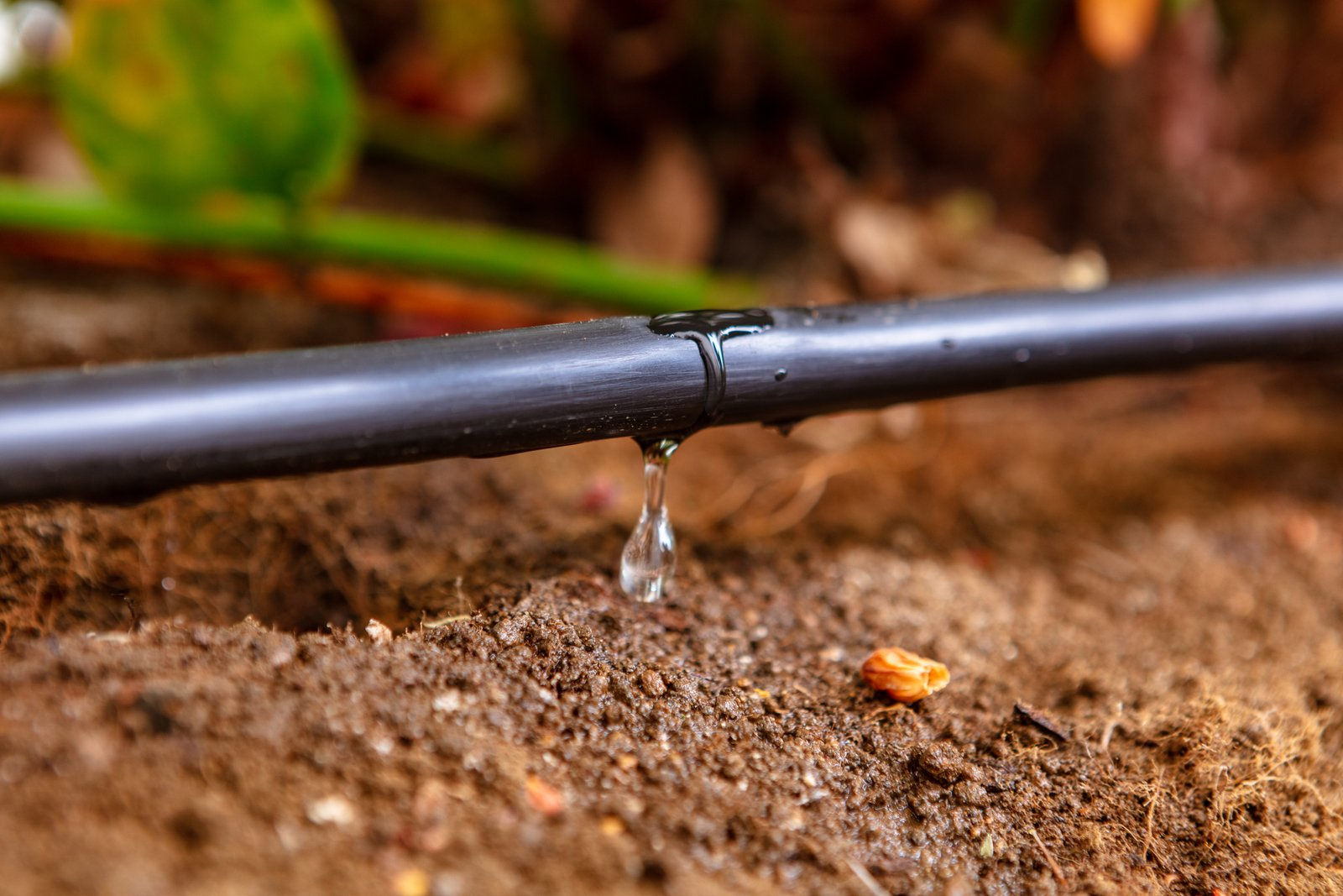 Drip Irrigation Systems