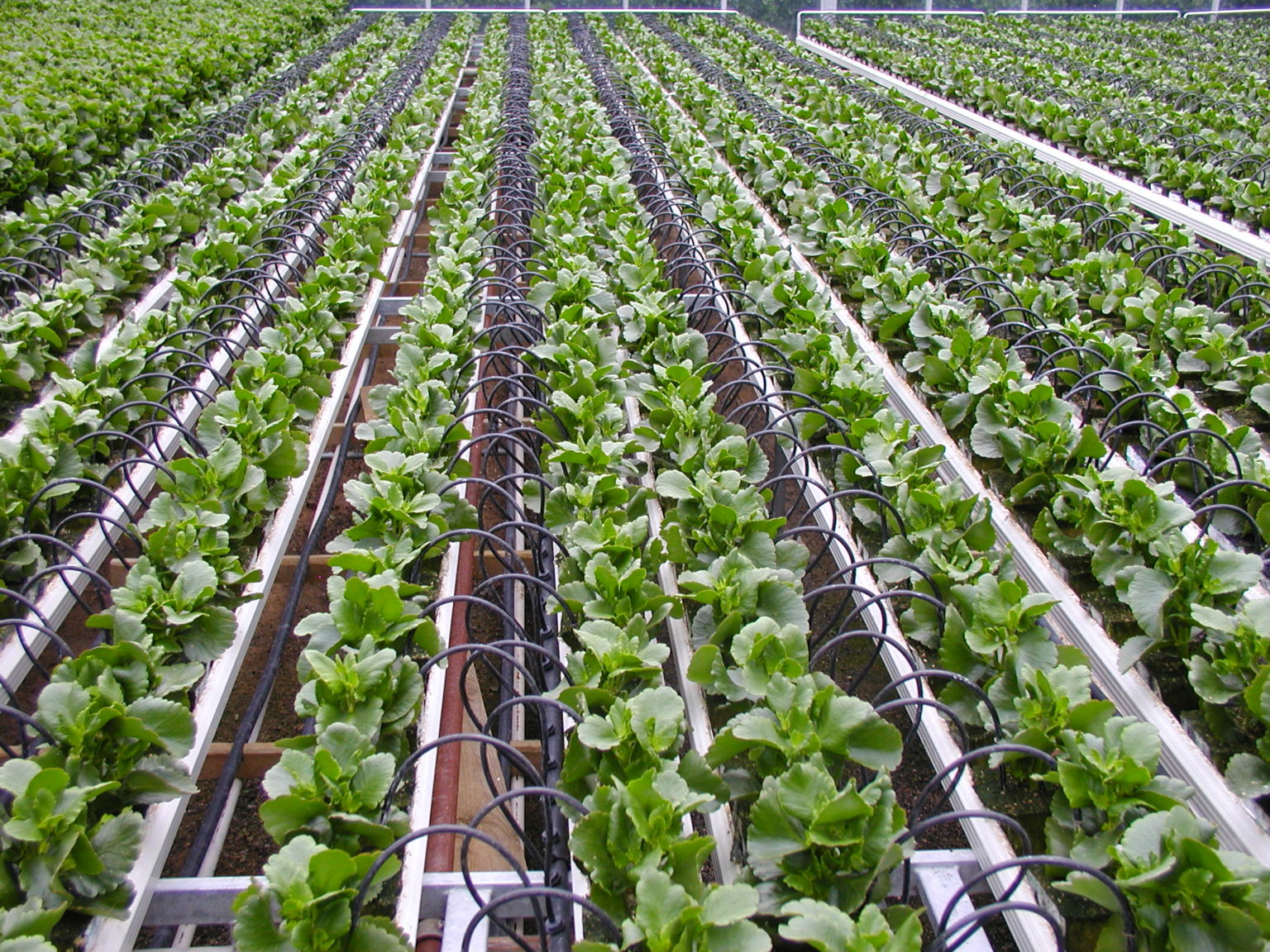 Sustainable Farming with Eco-Friendly Pipe Solutions