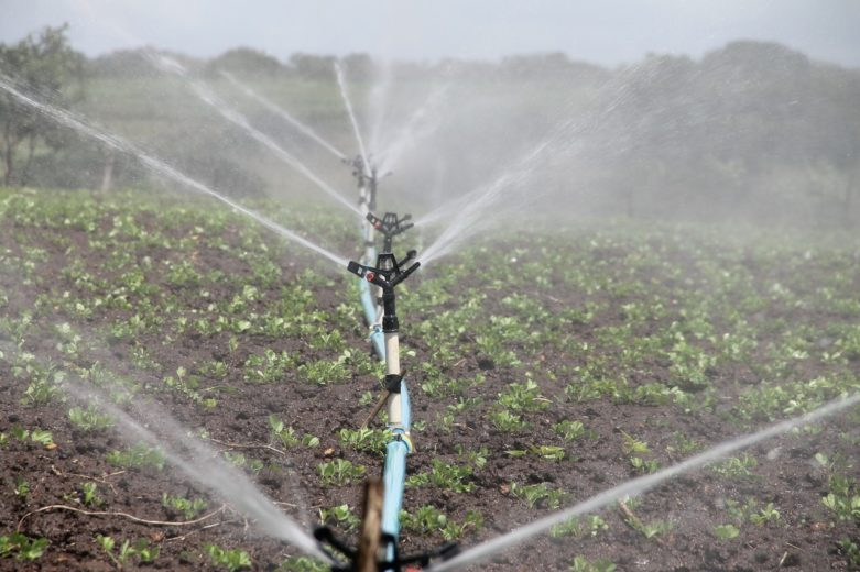 Water Conservation Strategies for Commercial Agriculture