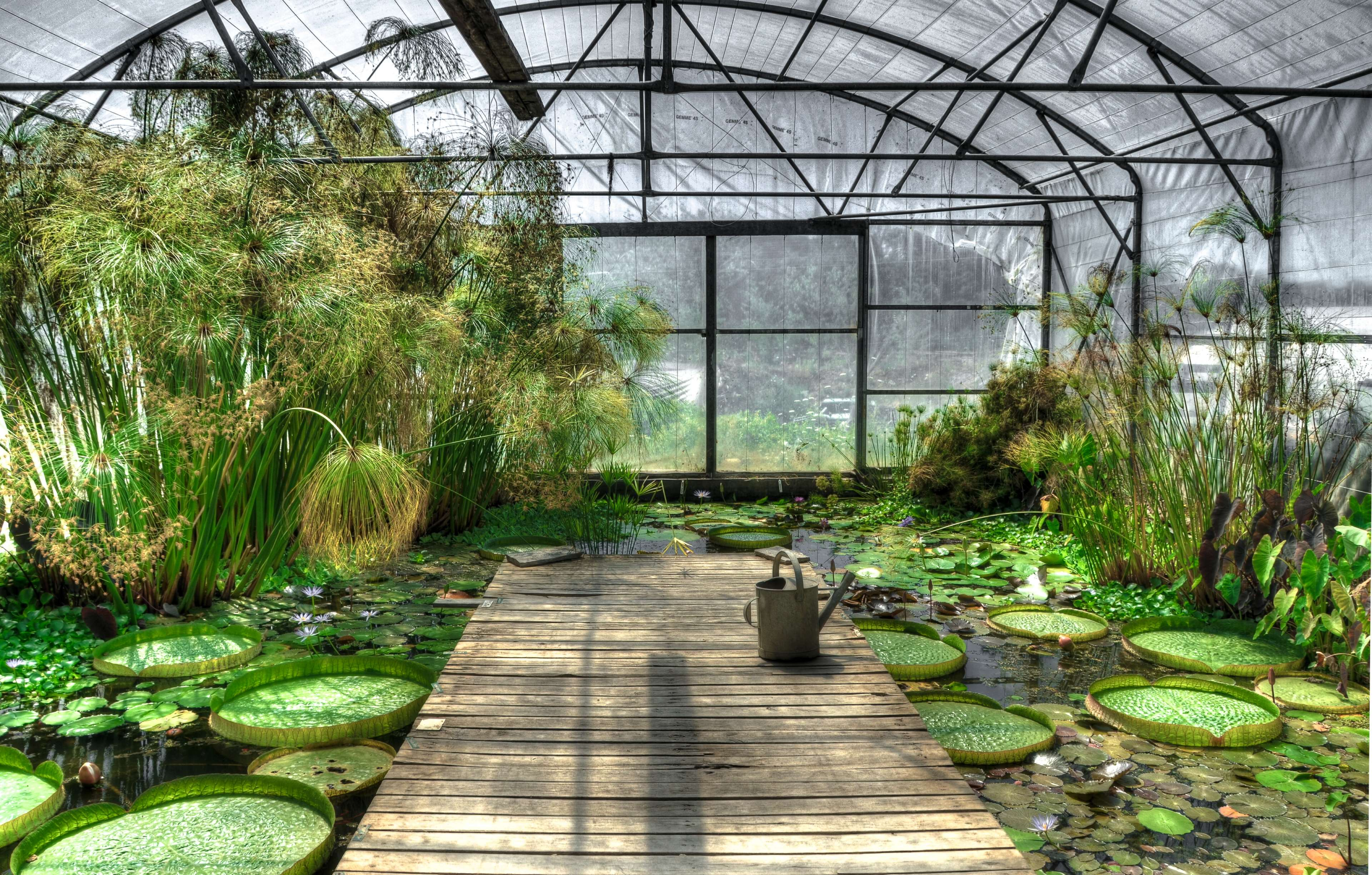Greenhouse Connections
