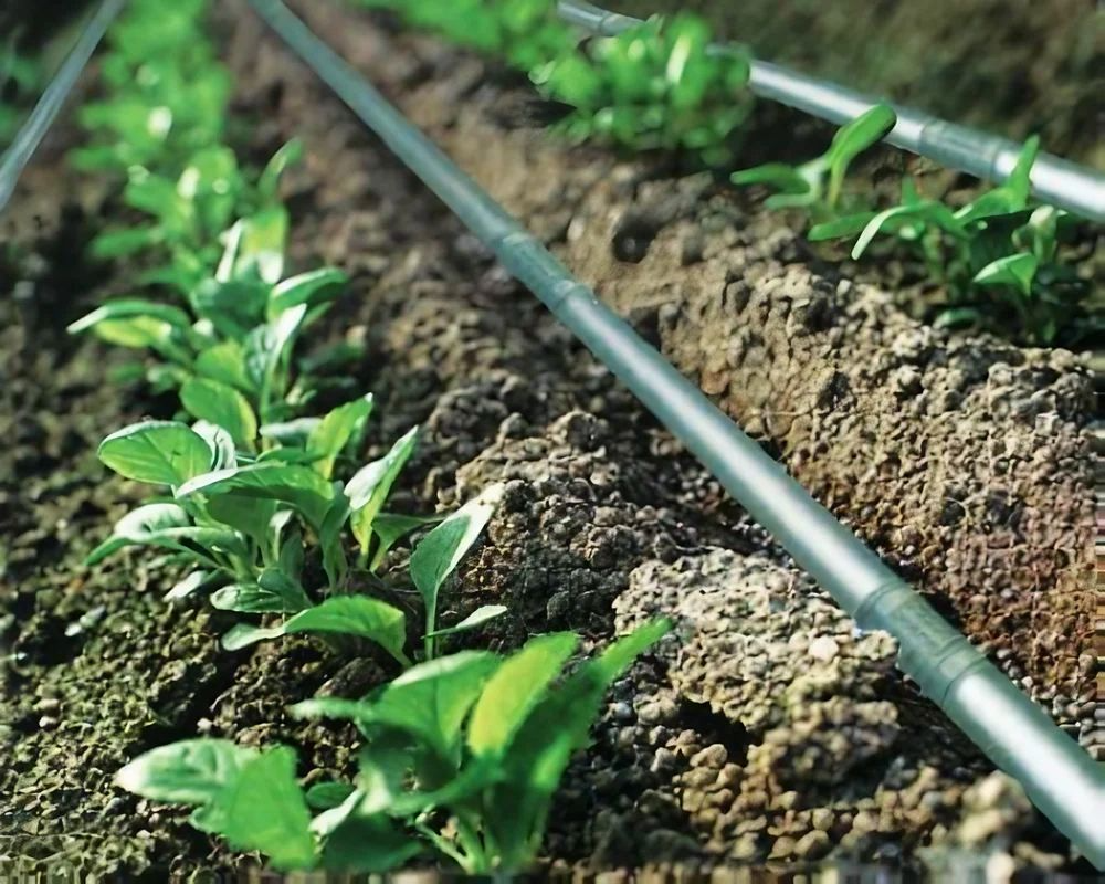 Nursery Irrigation