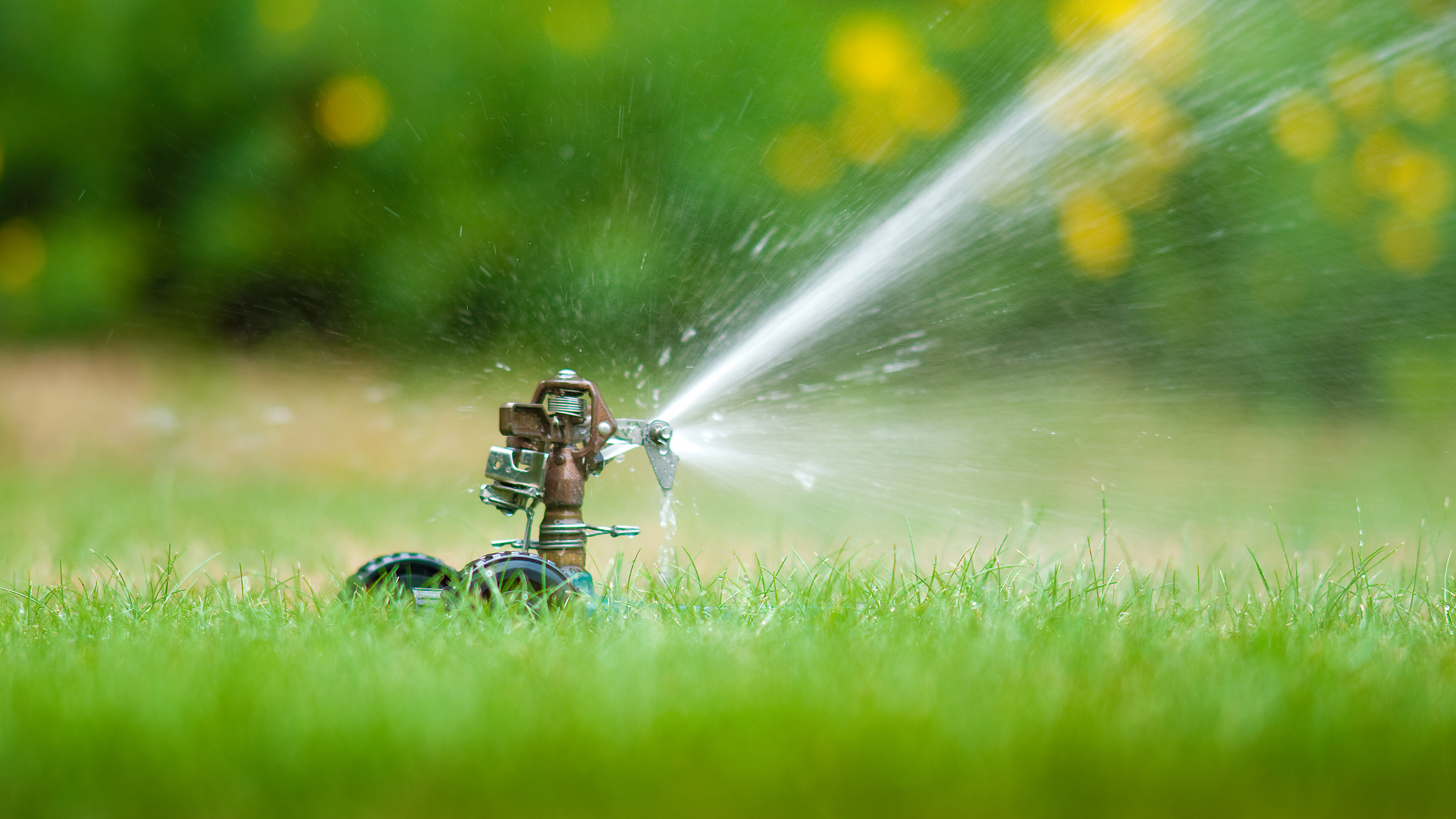 Sprinkler Pipe 1