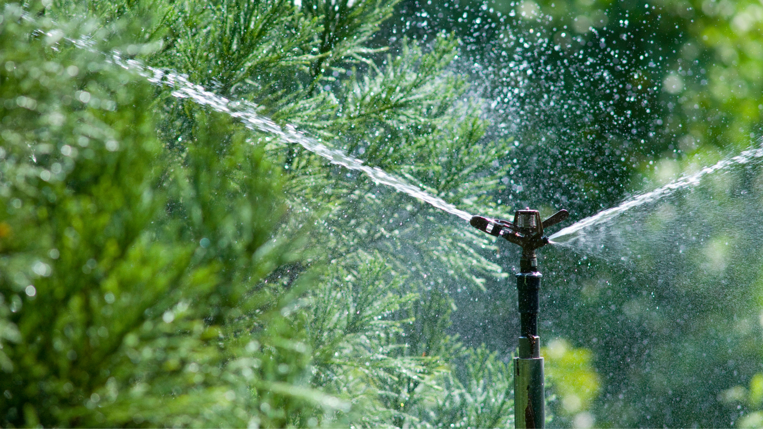 Sprinkler Pipe 2