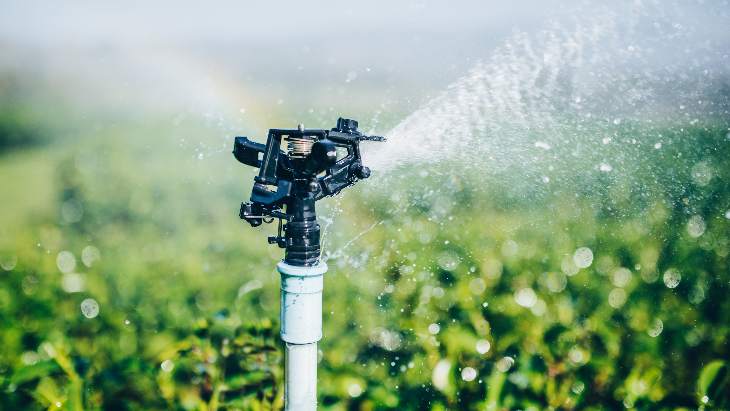 Sprinkler Pipe 3