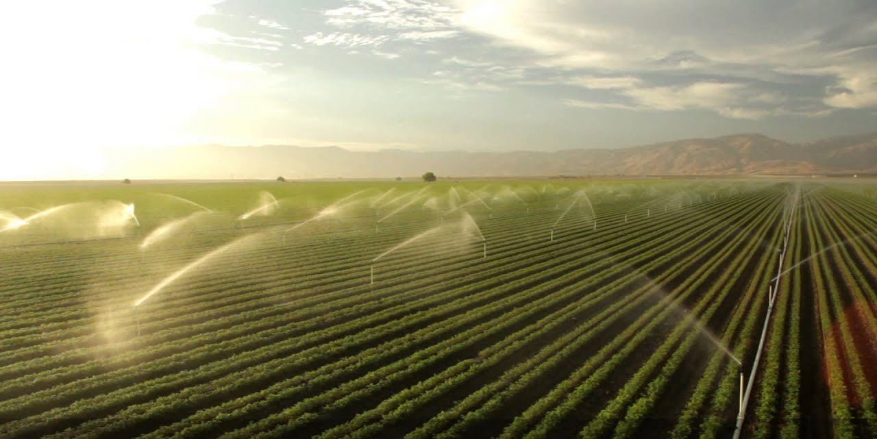 Sprinkler Irrigation